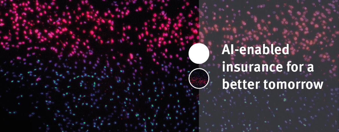 AI-enabled insurance for a better tomorrow