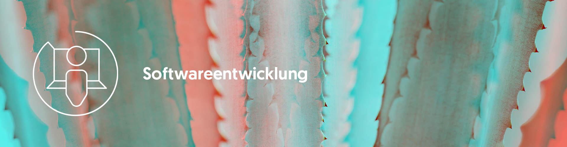 Berufsbild Softwareentwicklung