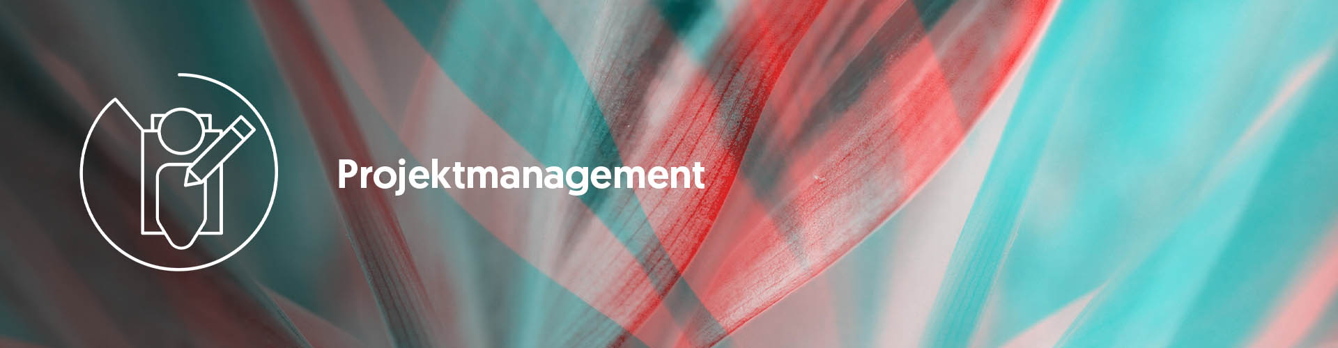 Berufsbild Projektmanagement